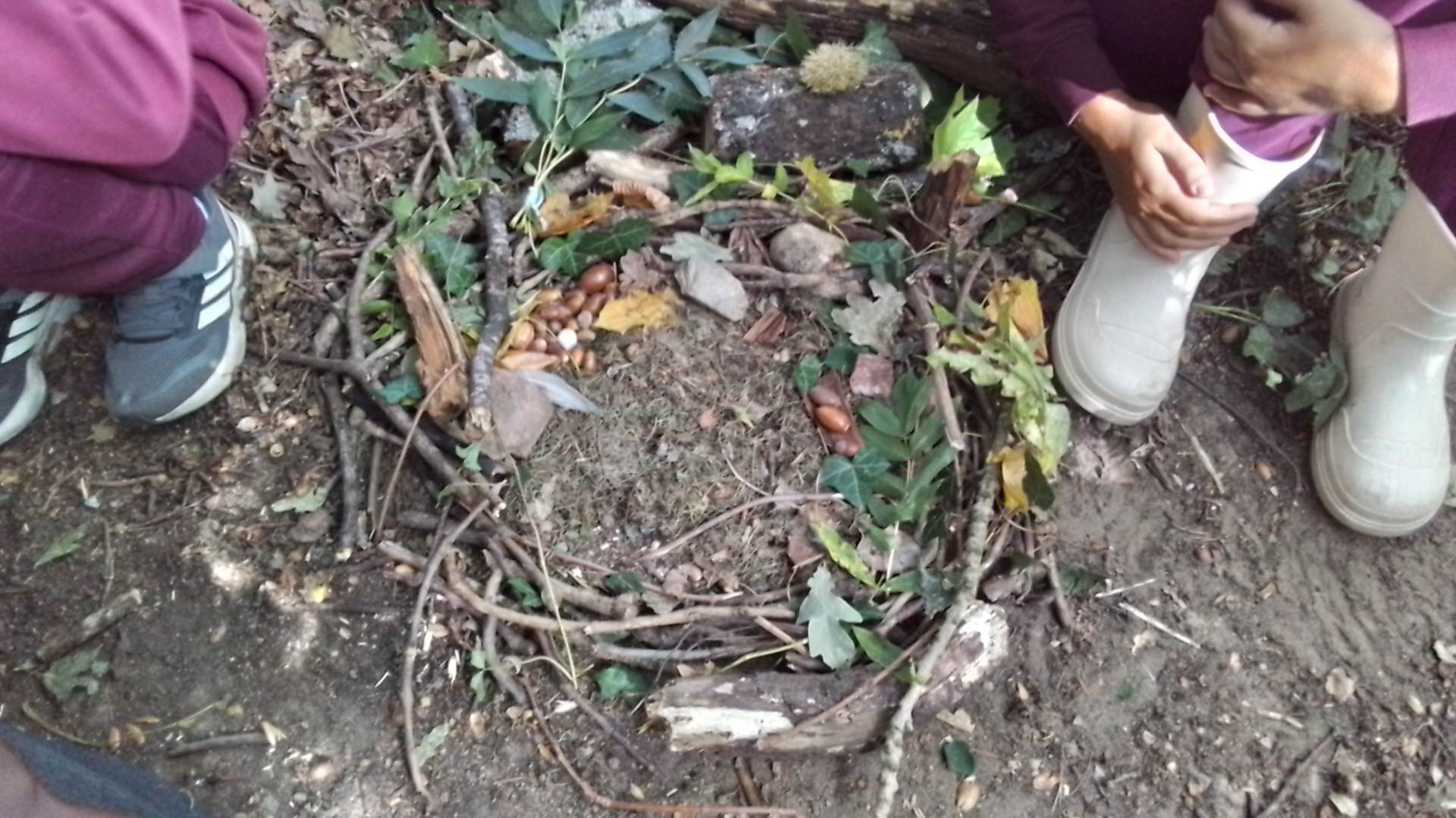 nests