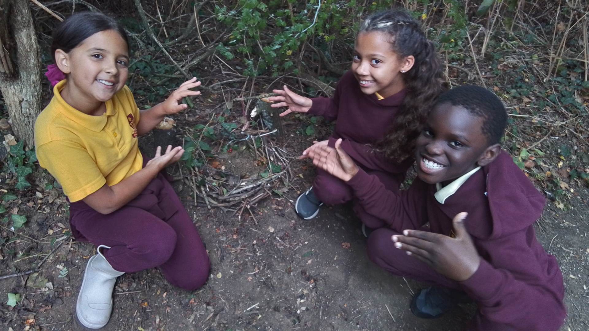 Forest school nests