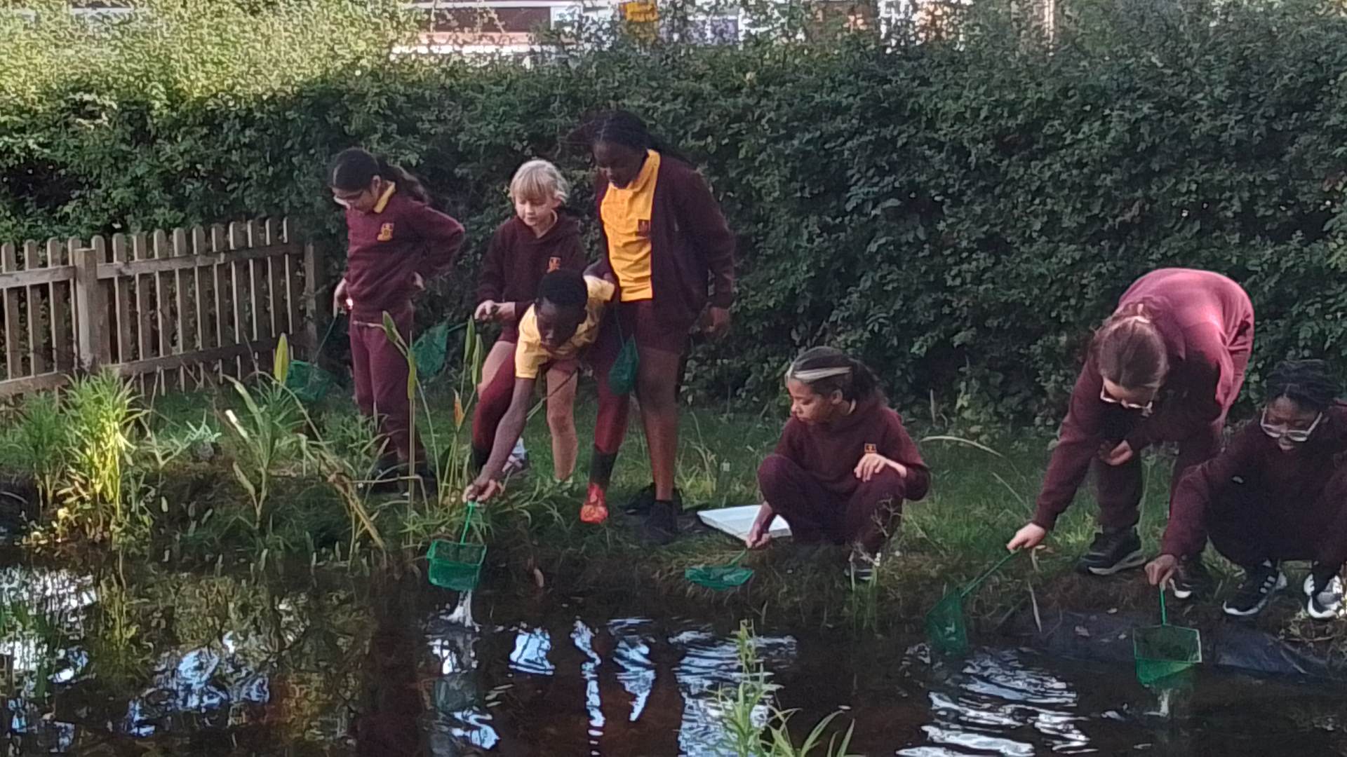 5HK pond dipping